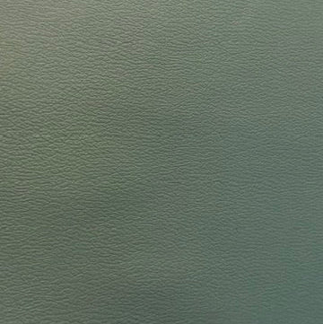 0218“Sage Coast” Vinyl
