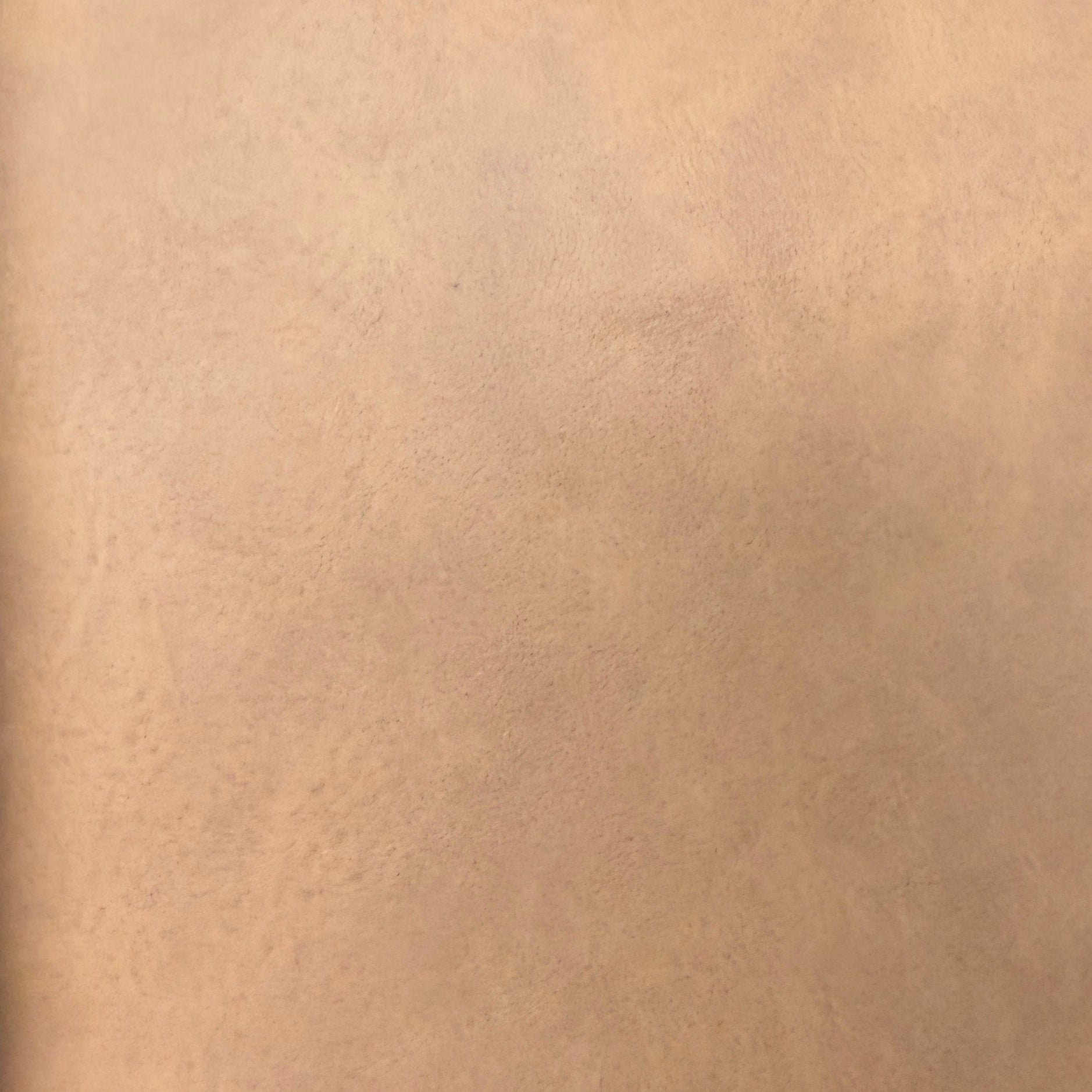 0794 PV648 – Buckskin