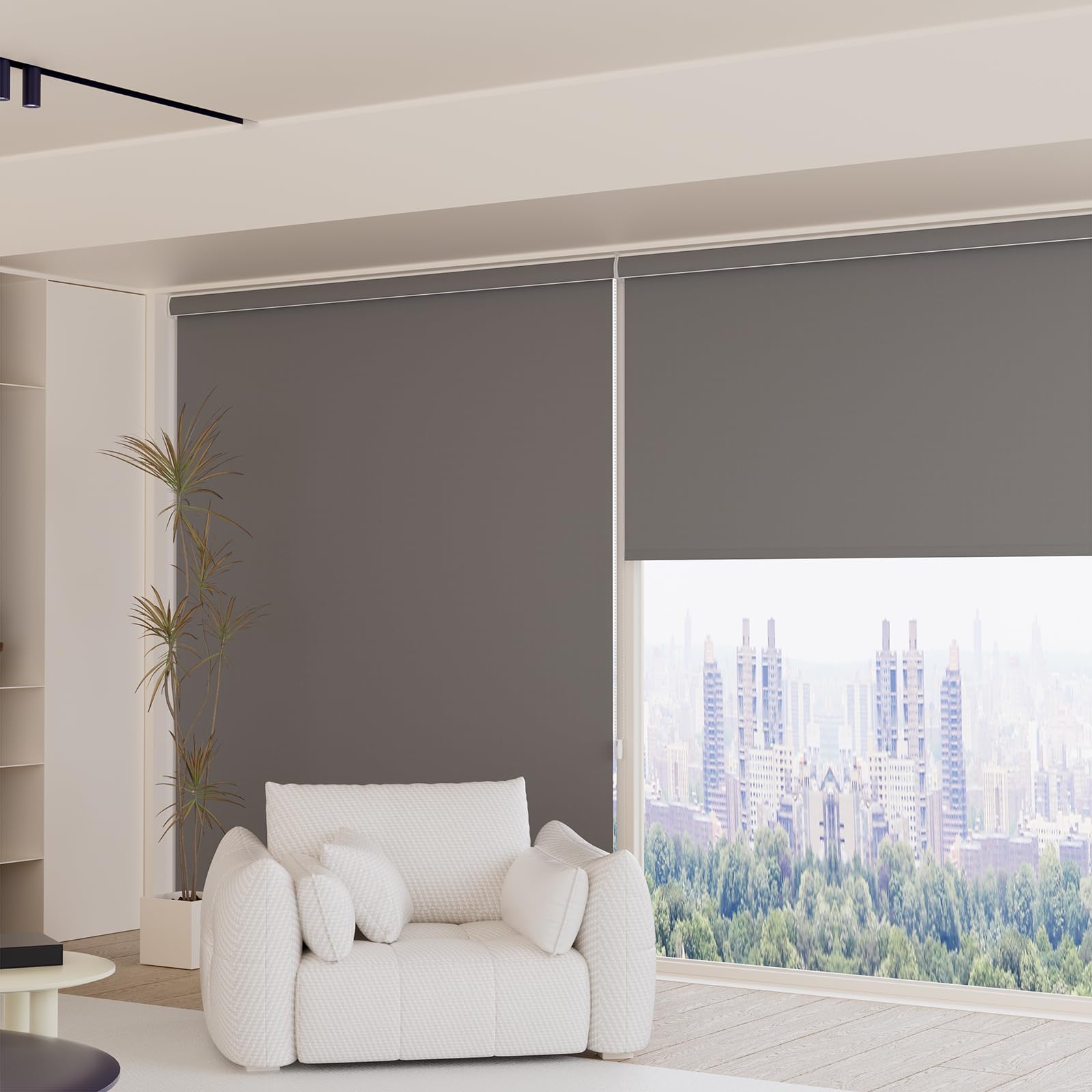 VGR B/O (F/R) (Hanzen Collection)