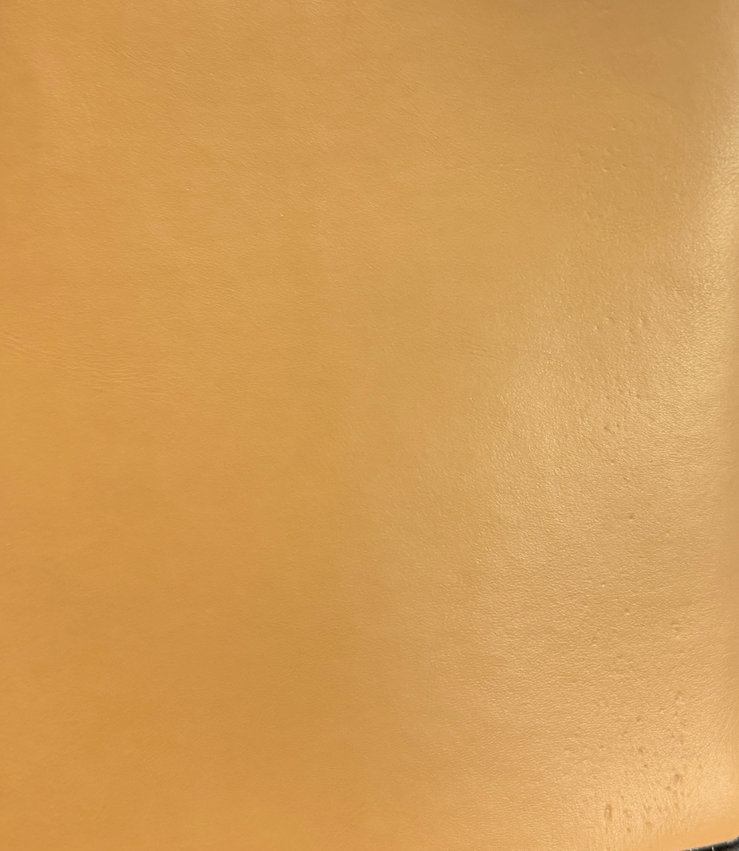0754 Champagne Beige Faux Leather