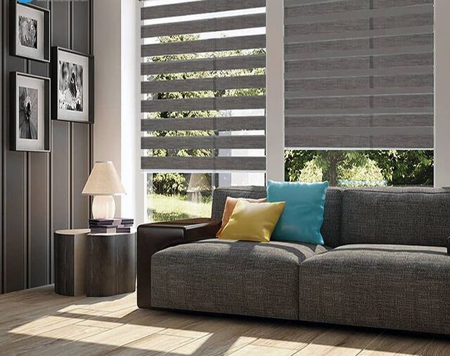 Bailey Zebra Shades (Hanzen Cillection)