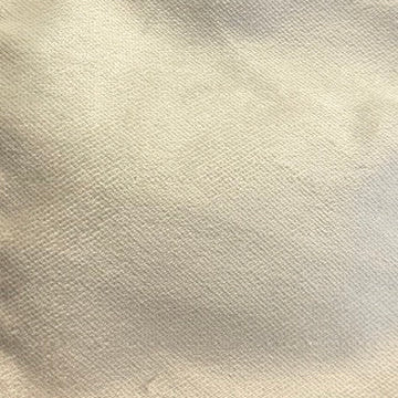 0388 Champagne Luster Velvet
