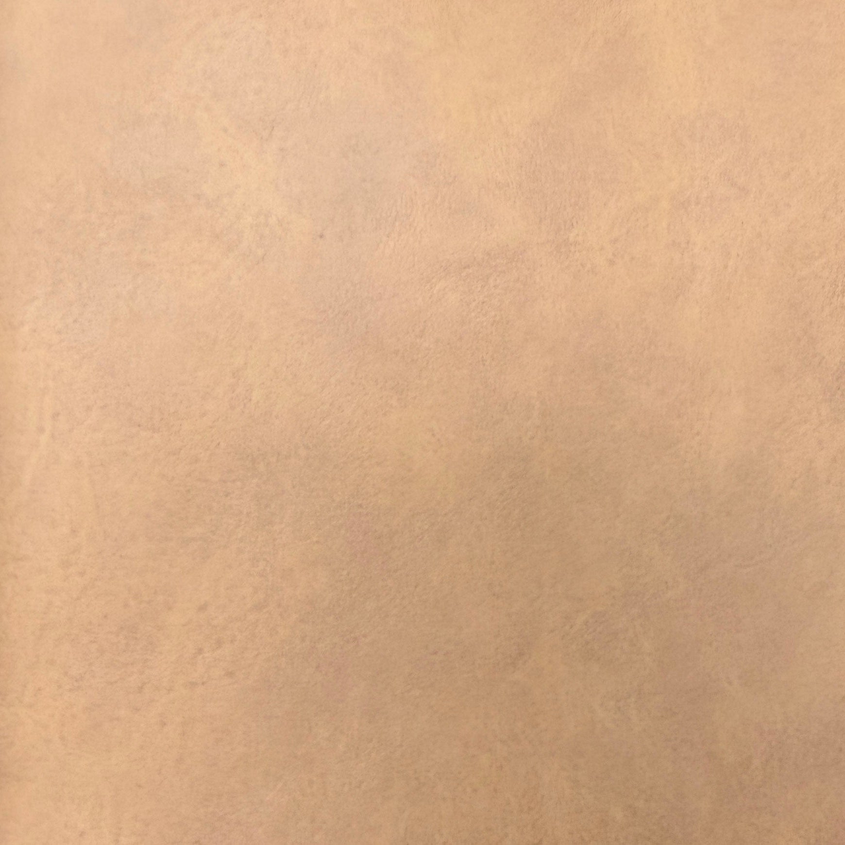0794 PV648 – Buckskin