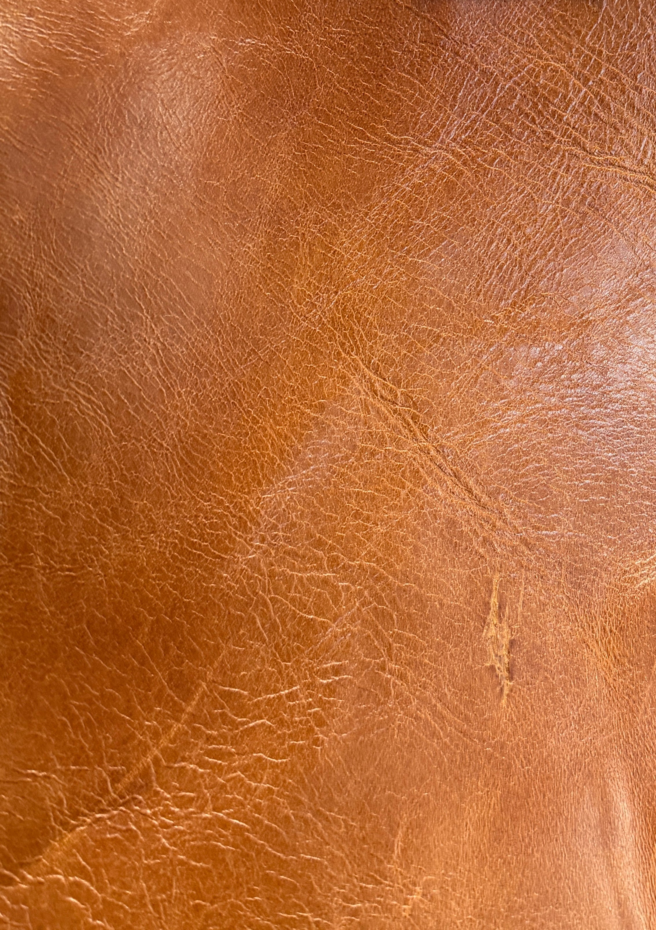 0664 Belmont Copper Genuine Leather