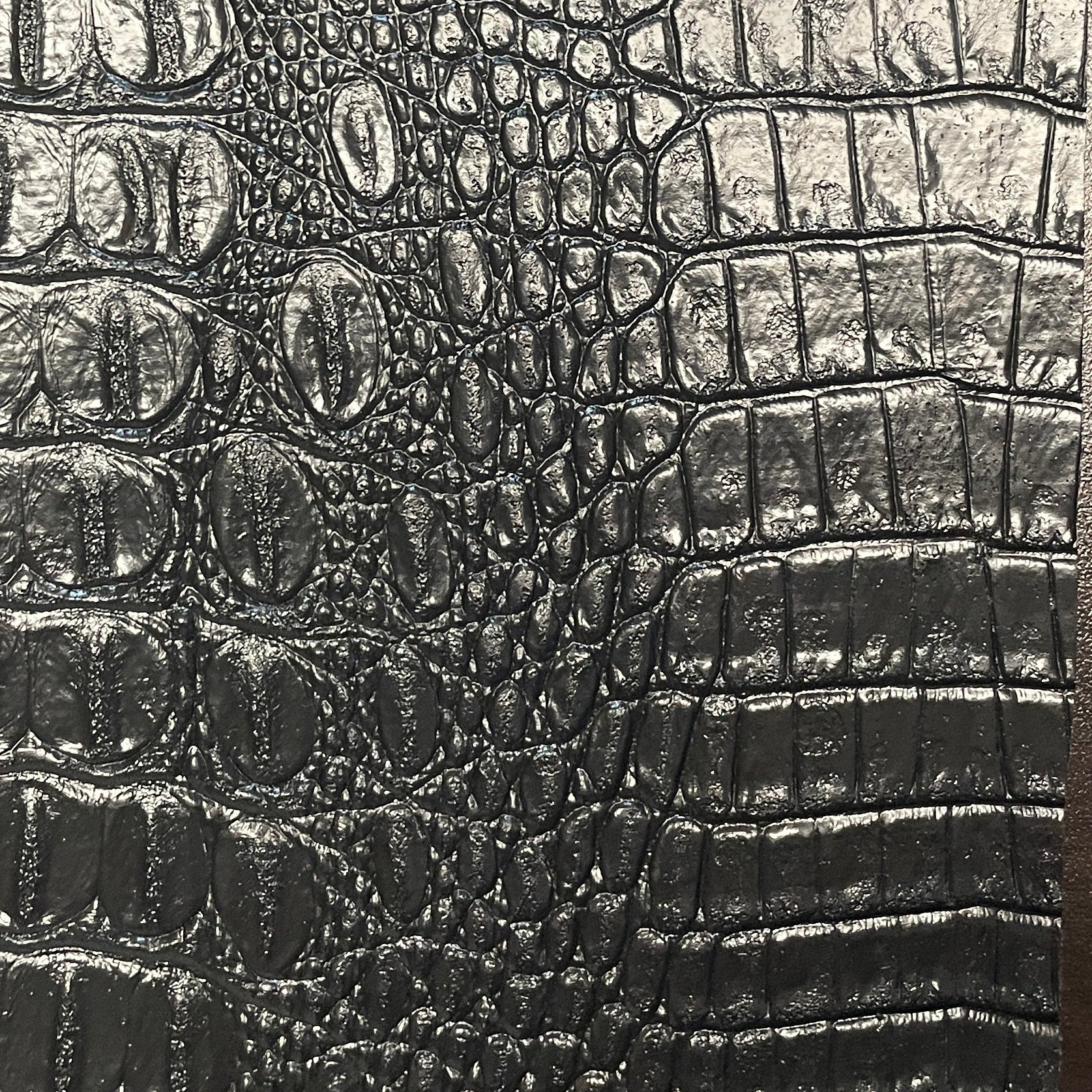 0219 “Noir Gator” Vinyl