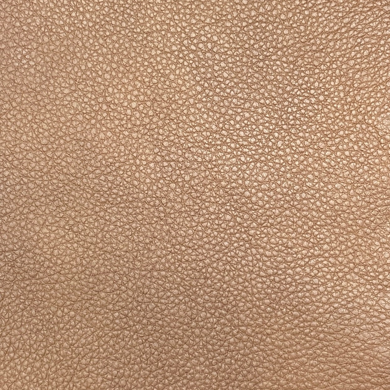 0641 Rangers Russet