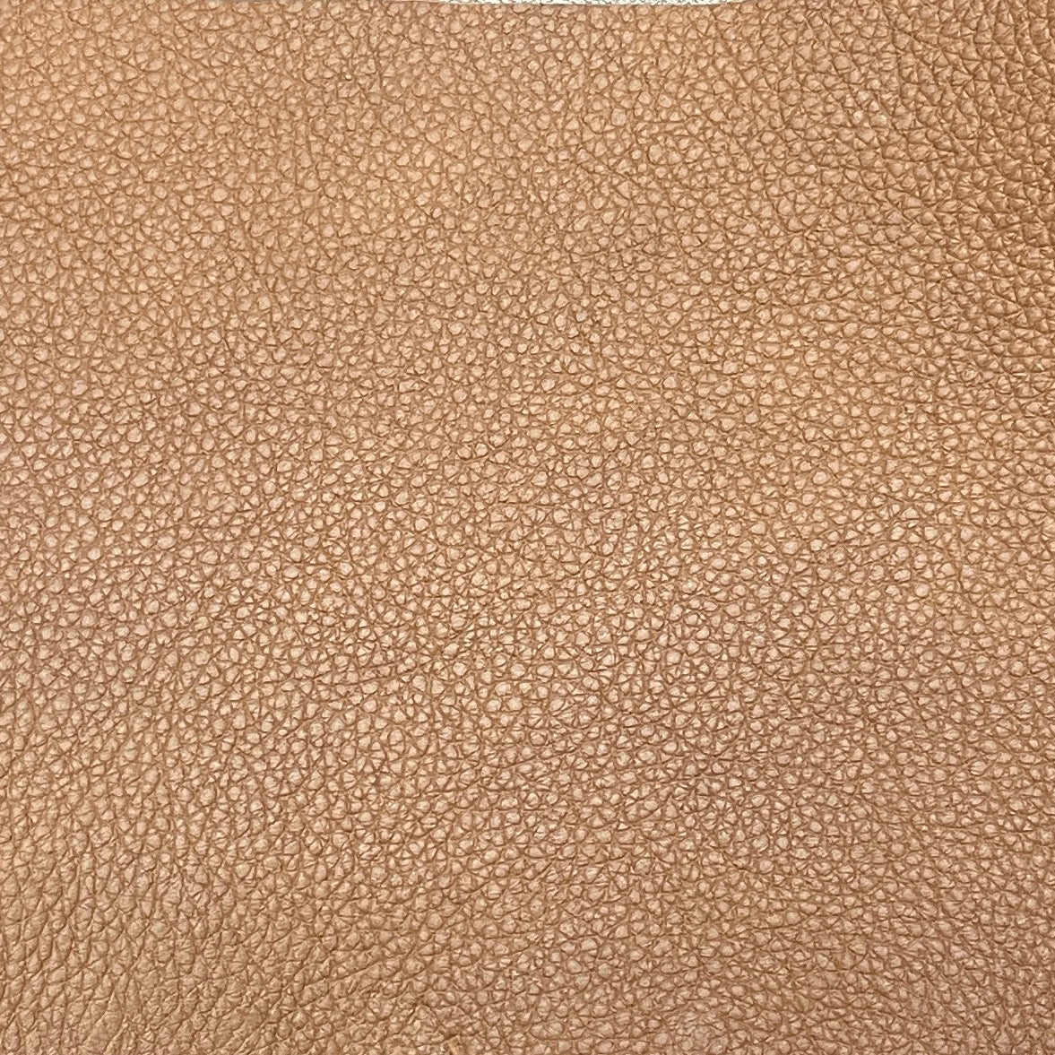0641 Rangers Russet