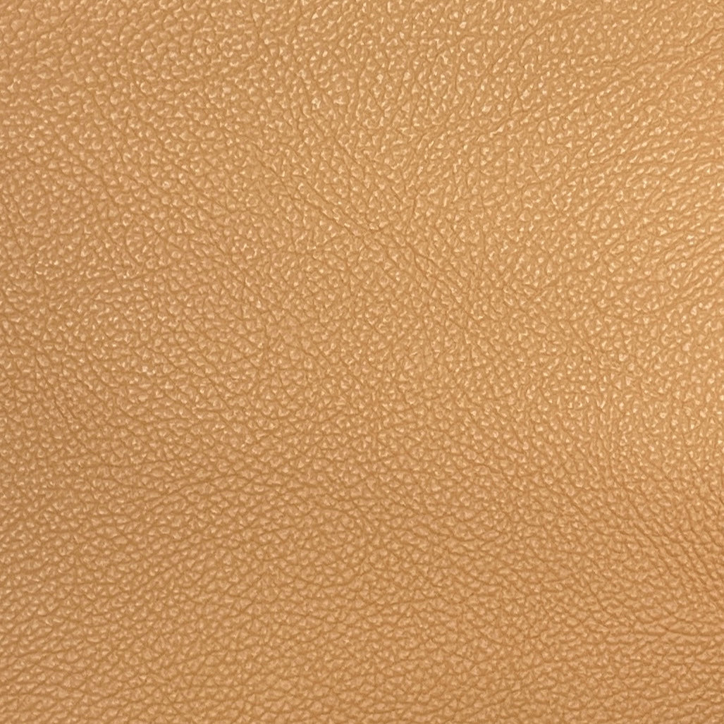 0660 Shelly Camel