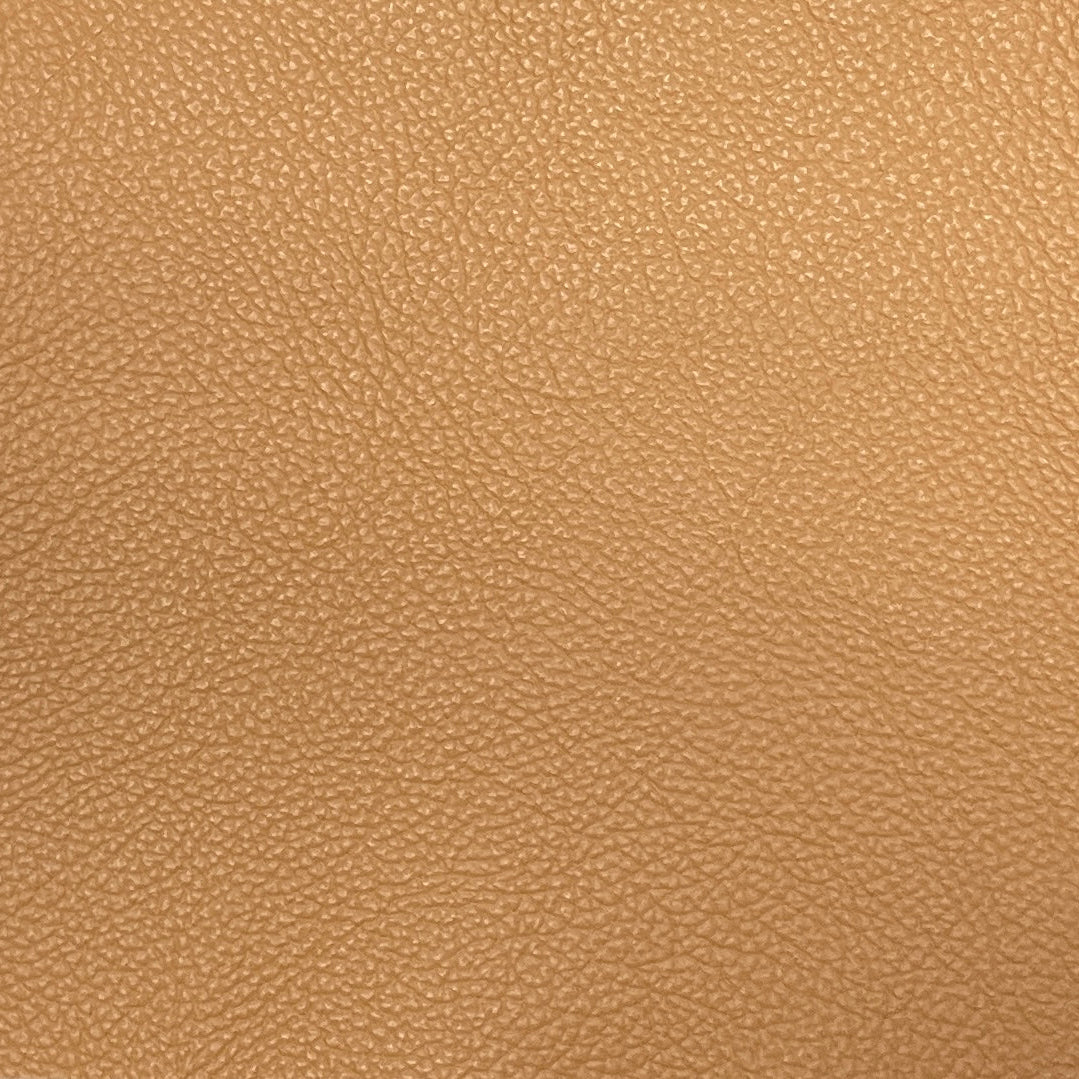 0660 Shelly Camel