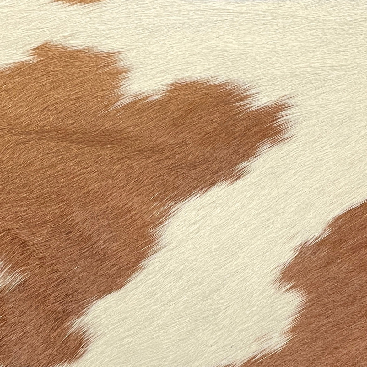 0648 Genuine Leather Terracotta Sun