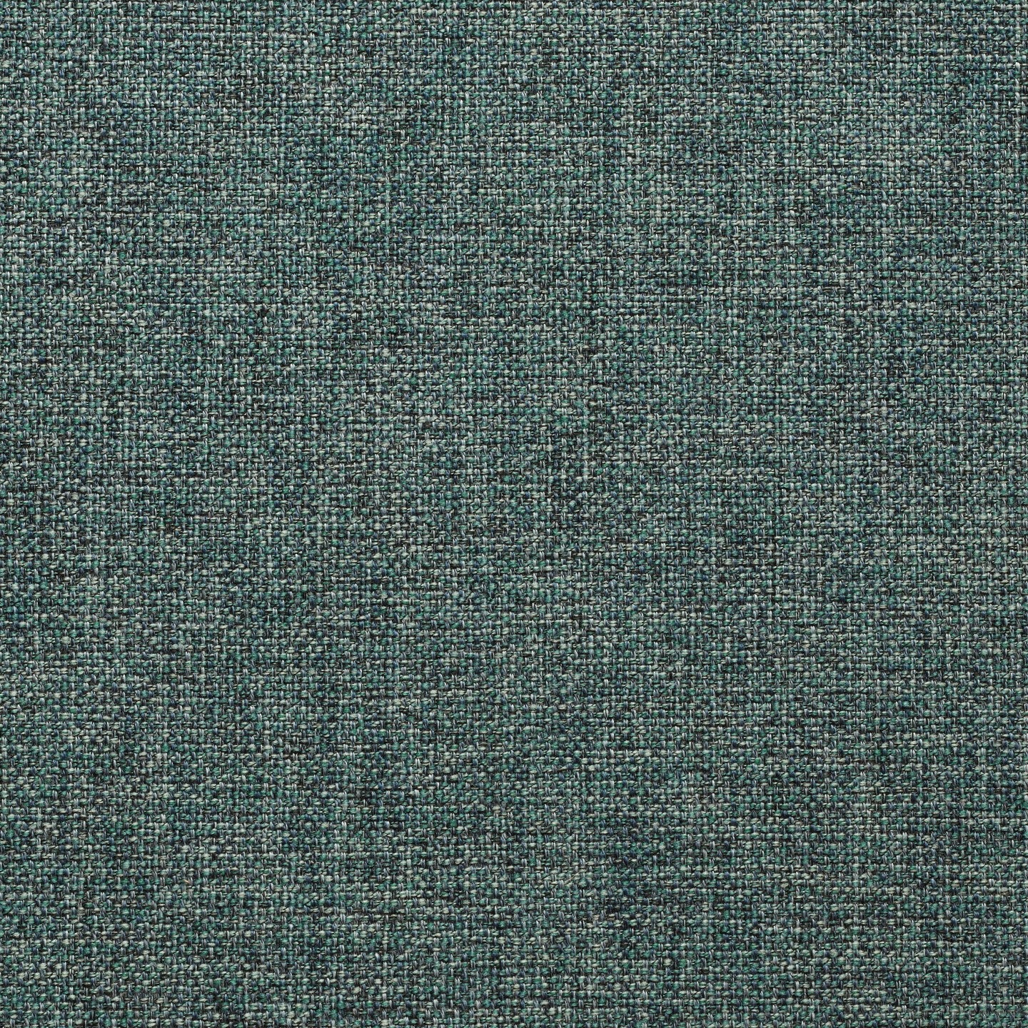 UF Foxtrot 72 Raindance