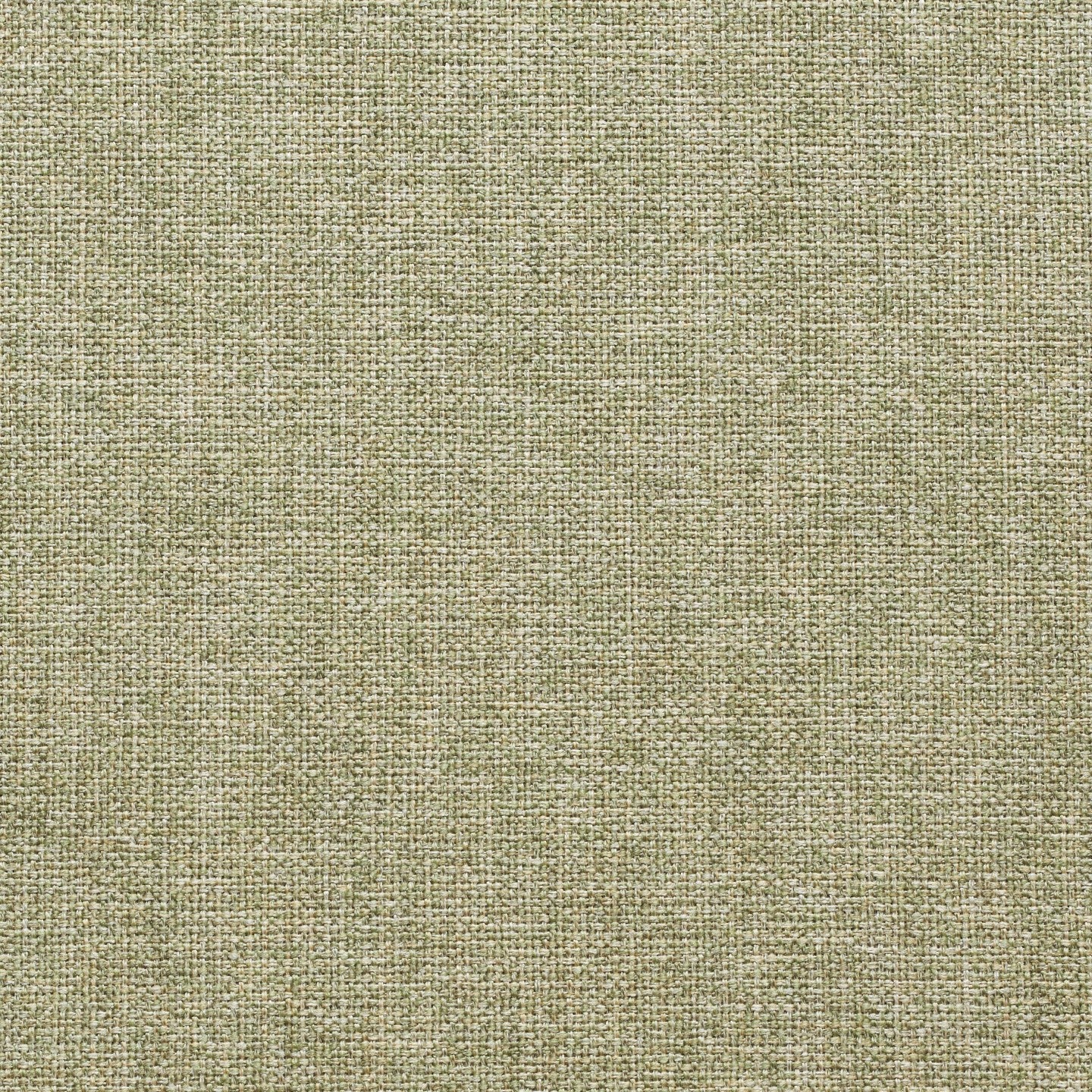 UF Foxtrot 39 Honeydew