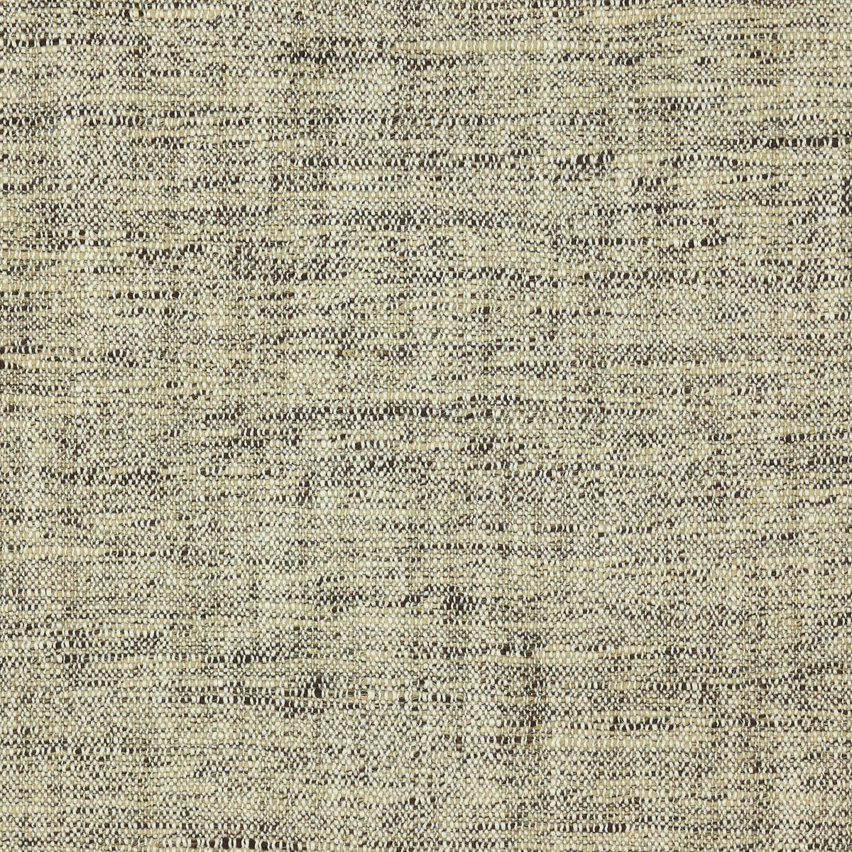 0896 Montecito Bark-L9194-03
