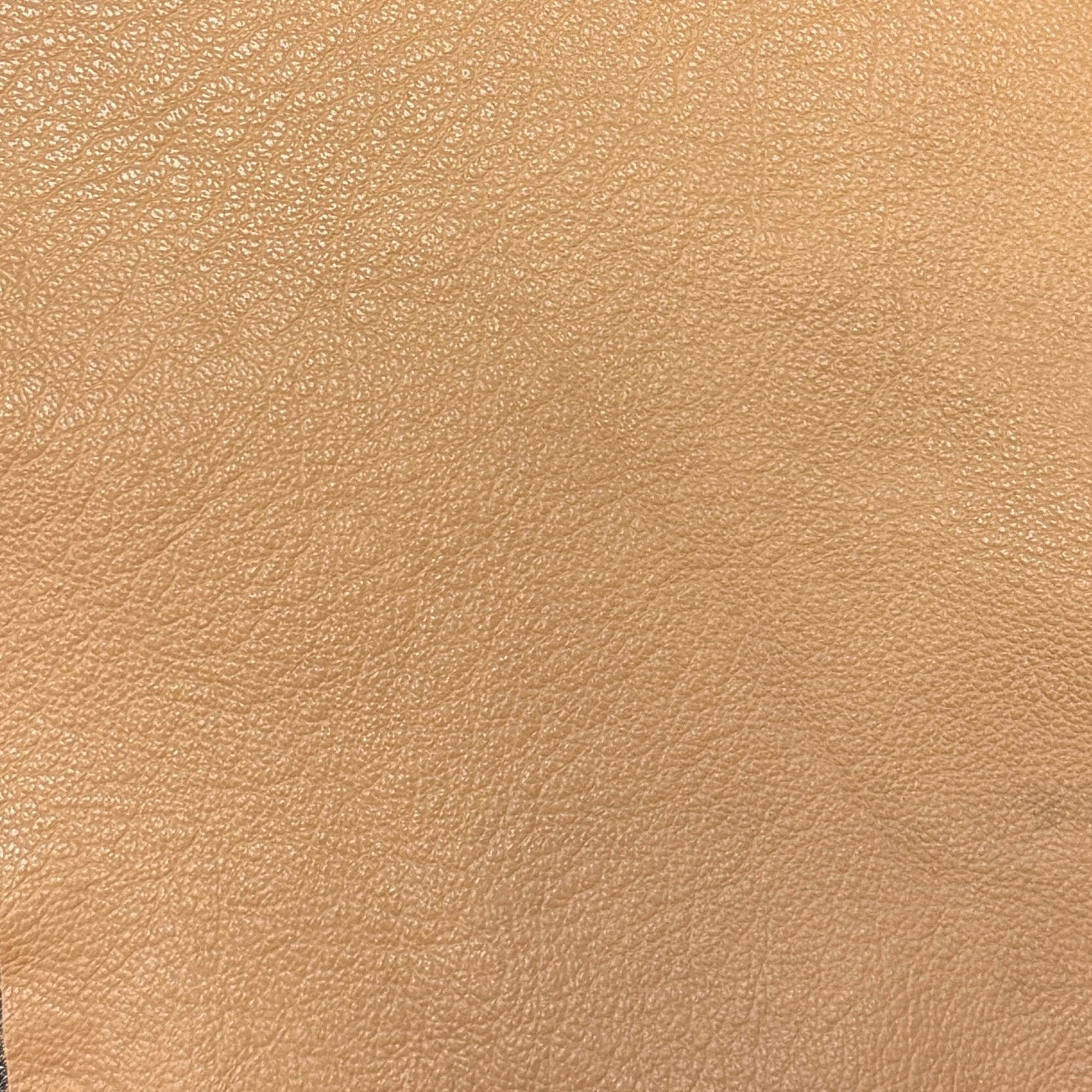 0640 Regent Sand Genuine Leather