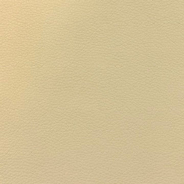 0035 Beige Vinyl