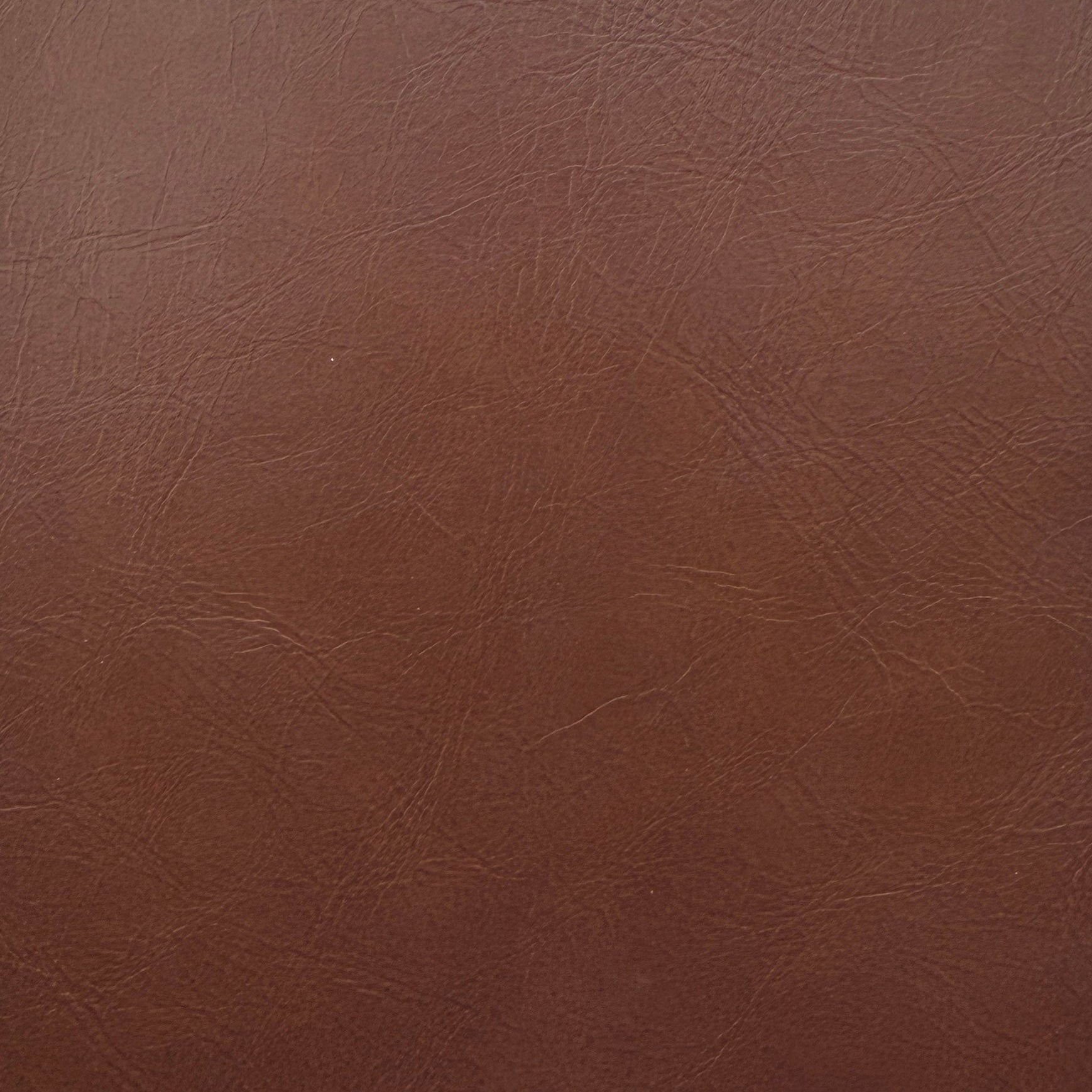 0073 Sable 8249