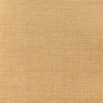 0041 Textured Sand Vinyl