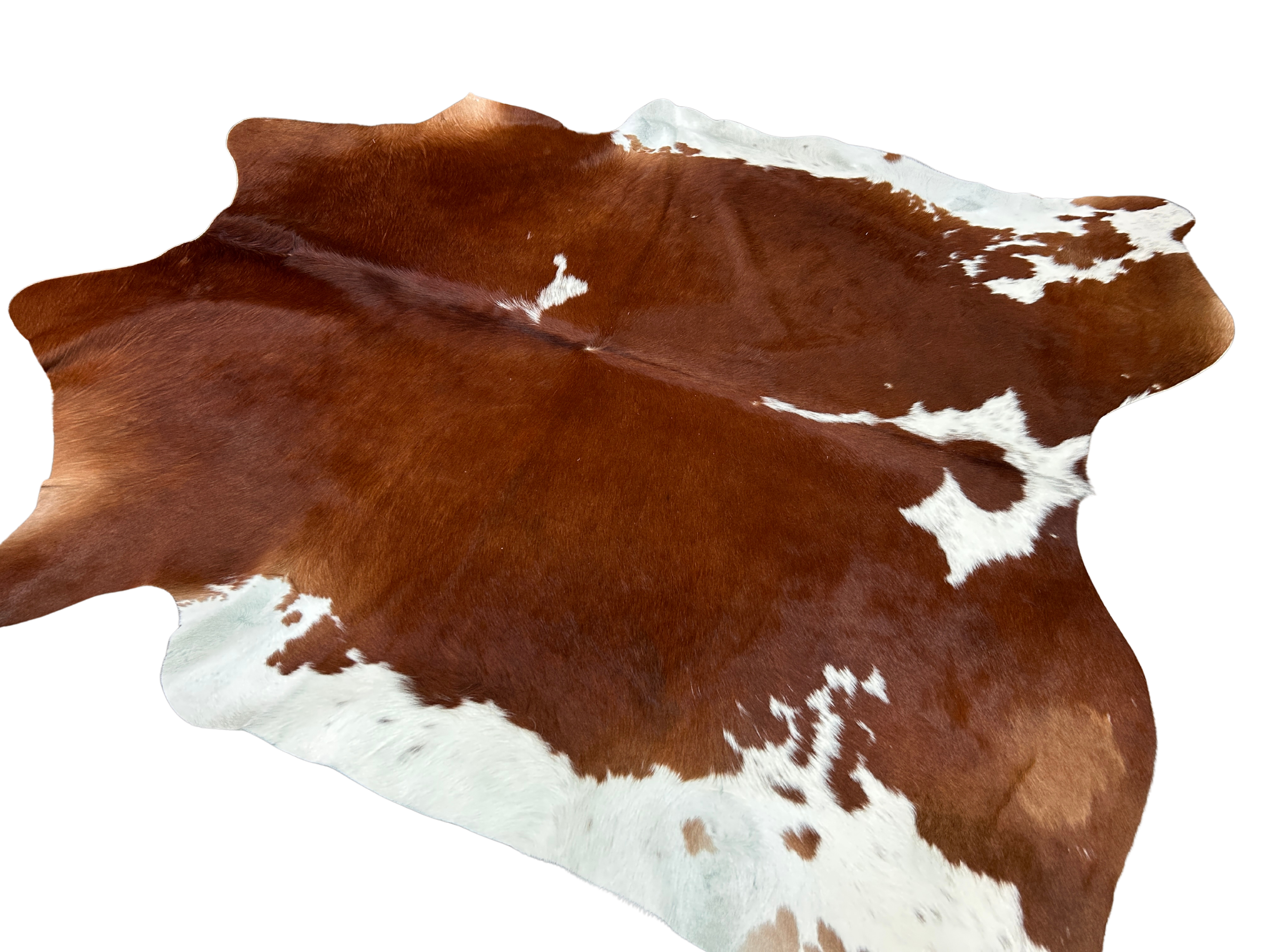 0648 Genuine Leather Terracotta Sun