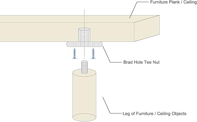 TN1518 Round Base Tee Nut