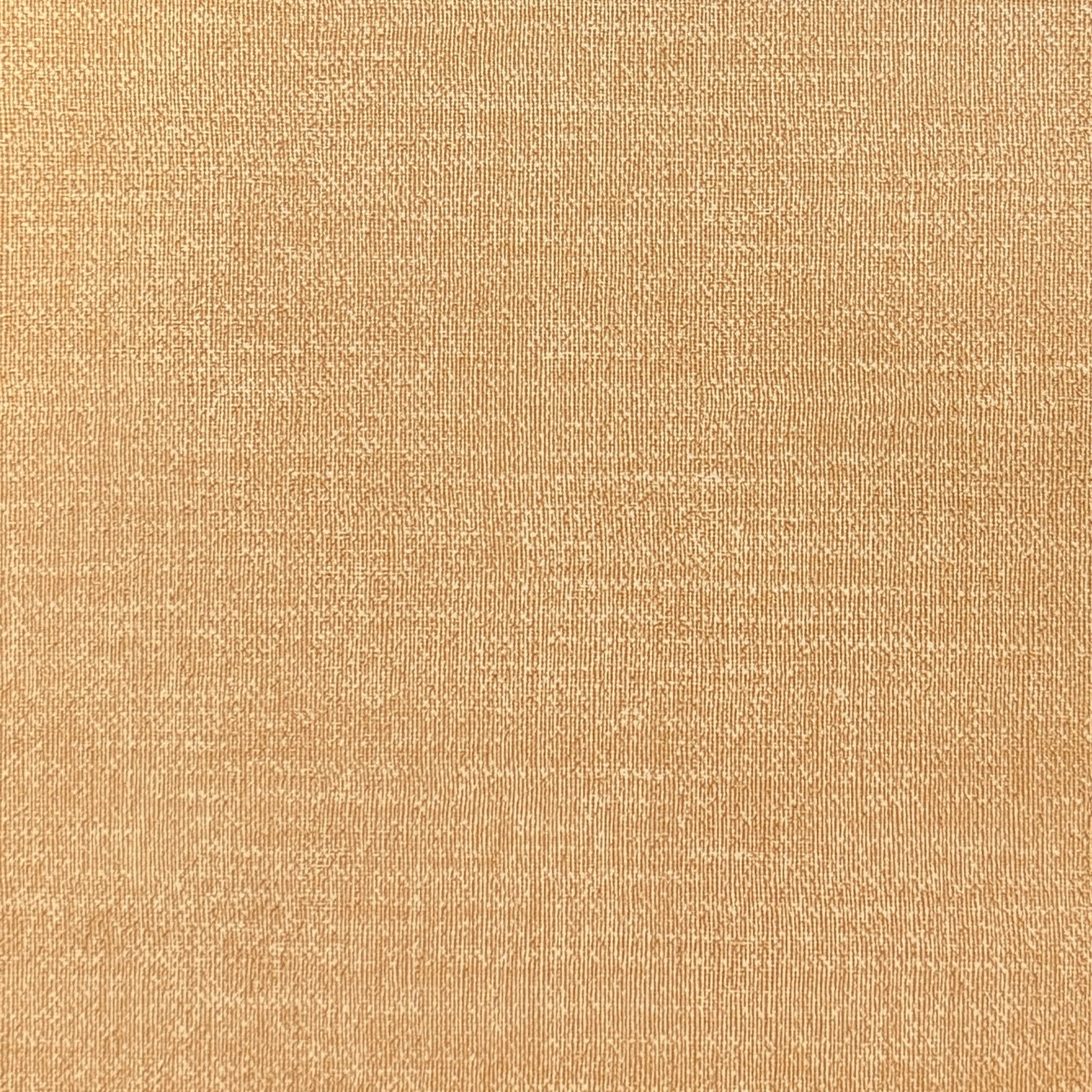 0041 Textured Sand Vinyl