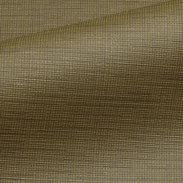 0905 CNN227 Olive