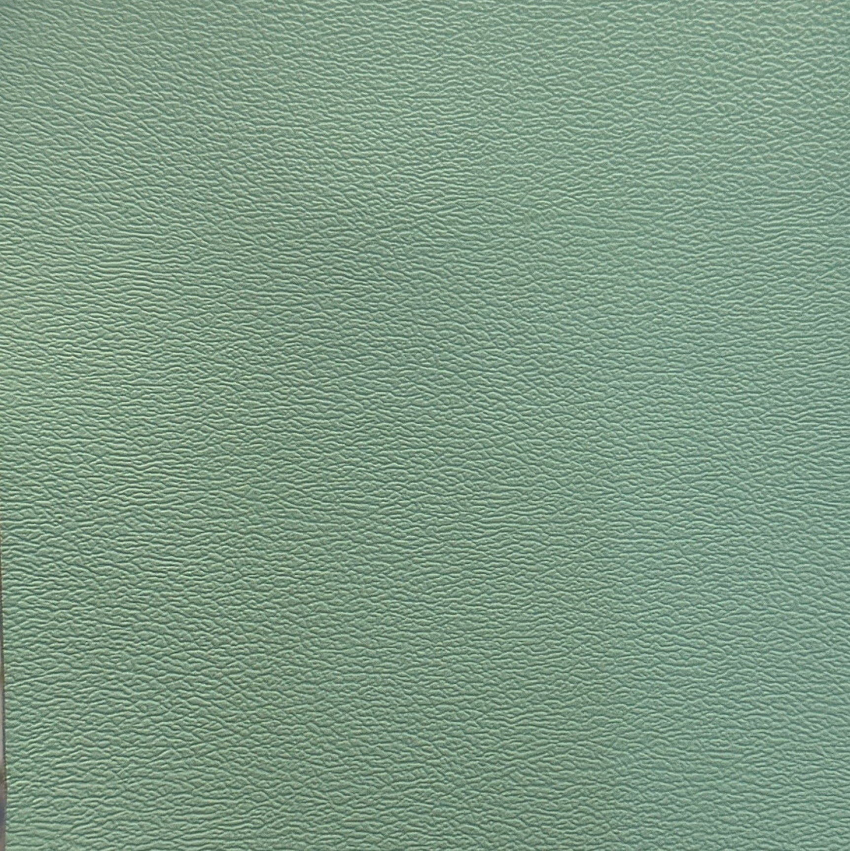 0180 "Mint Green" Vinyl