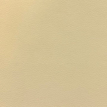 0035 Beige Vinyl