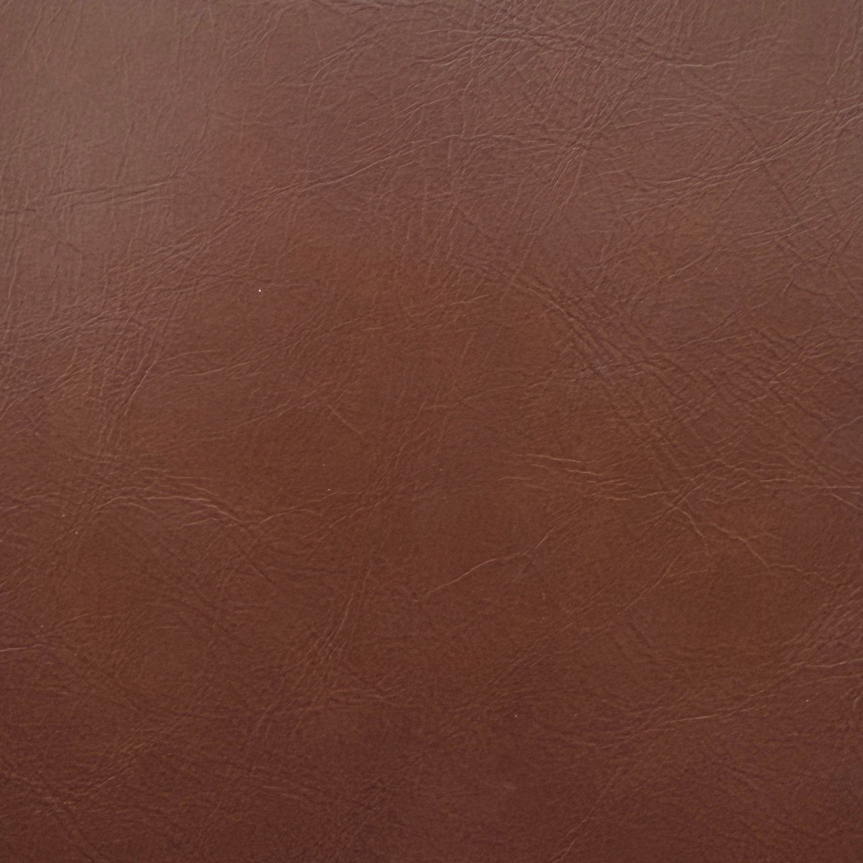 0073 Sable 8249