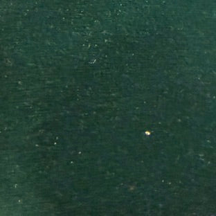 0414 Velvety Fabric Forest Green