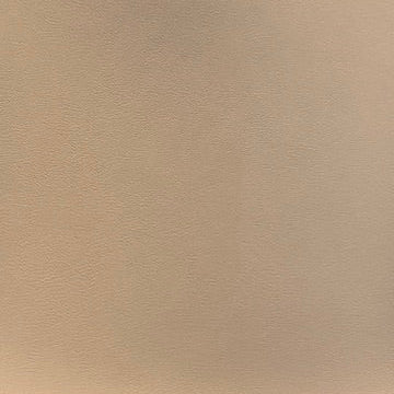 0146 “Dark Beige” Vinyl