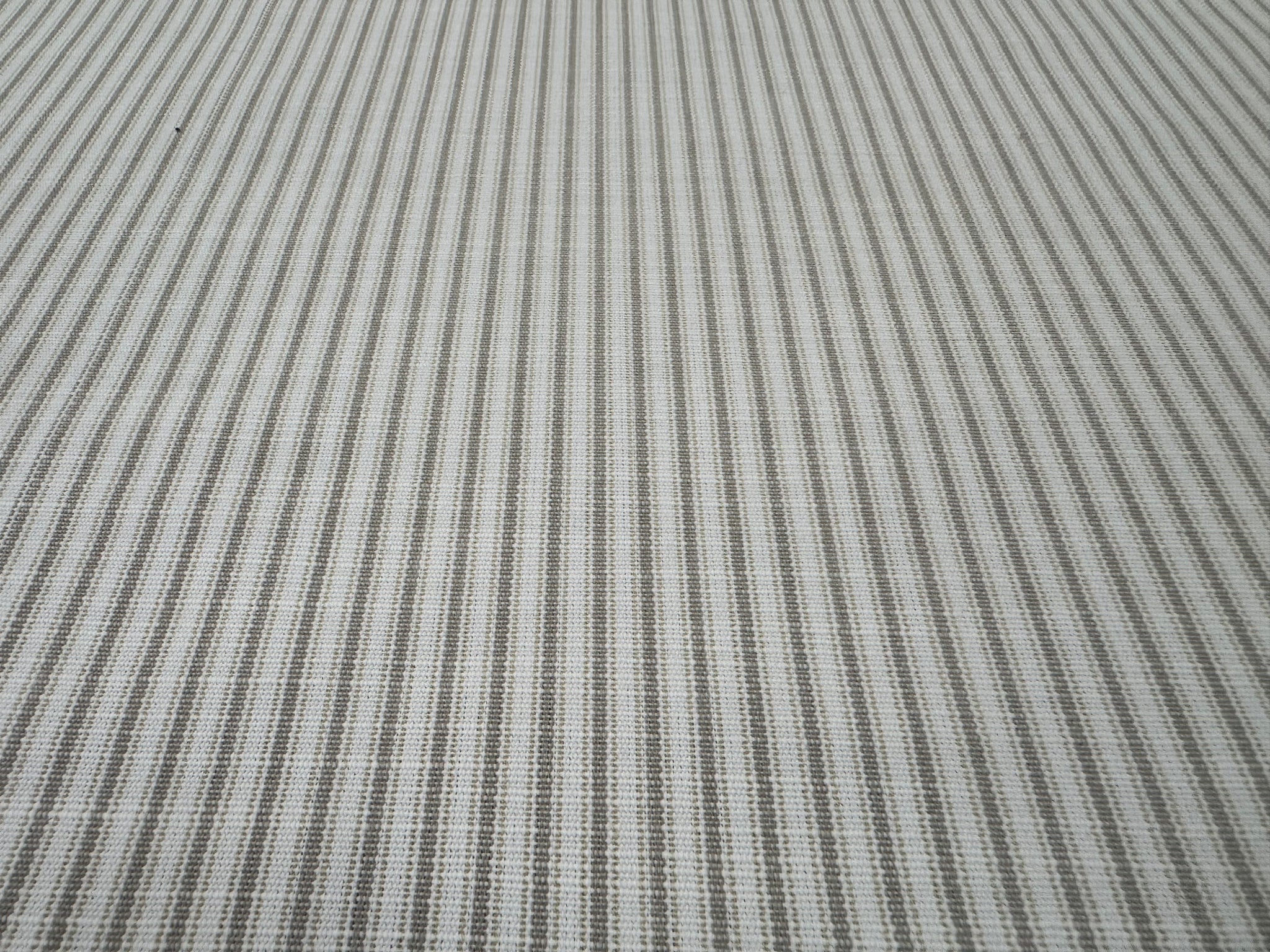 0888 Perennials Tick Tock Stripe Dove 807-102