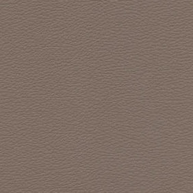 0886 Zenith Light Mocha VYZV2036