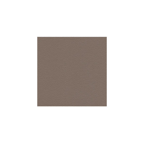 0886 Zenith Light Mocha VYZV2036