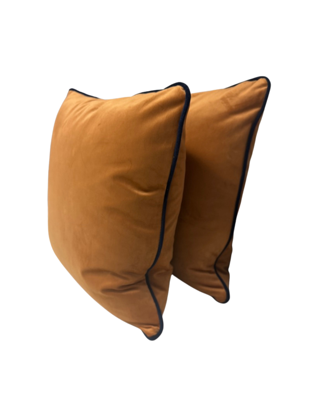 Velvet-Like Decorative Pillow Set