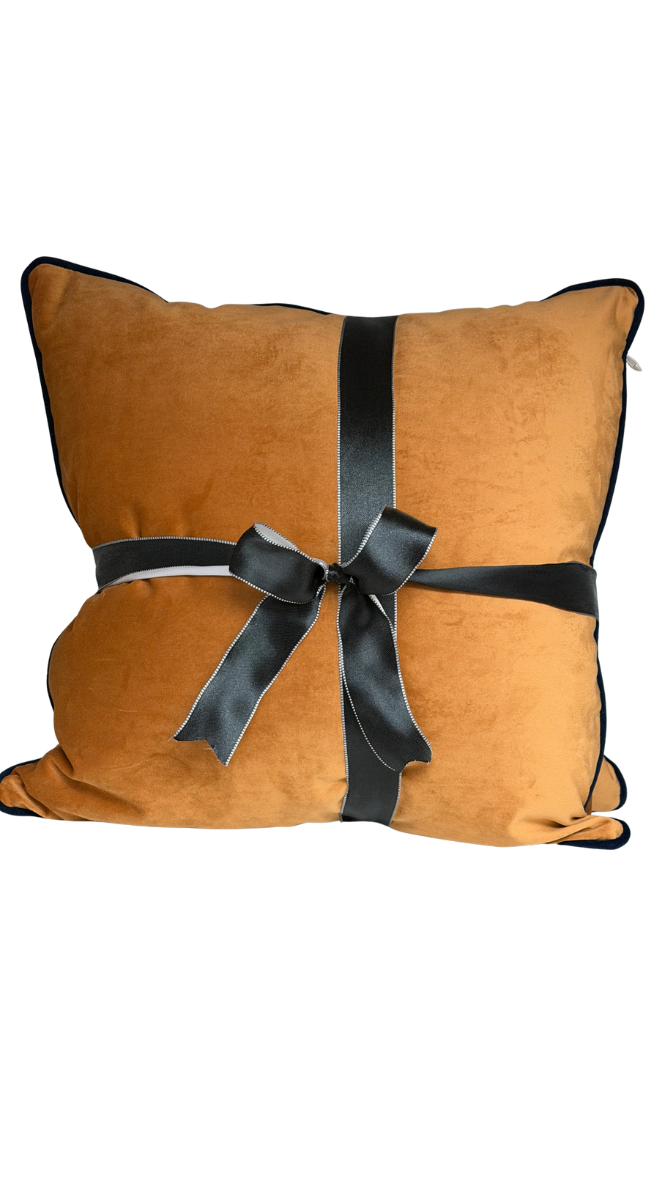 Velvet-Like Decorative Pillow Set