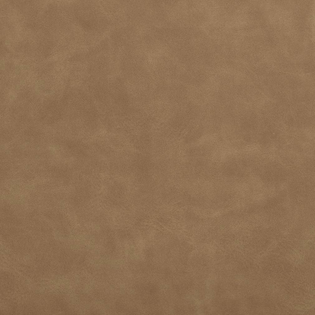0794 PV648 – Buckskin