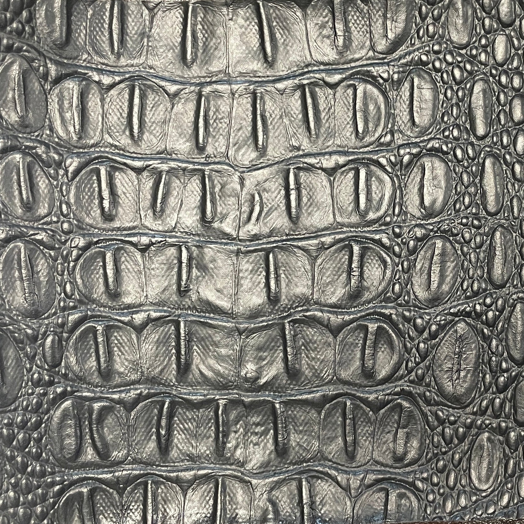 0227 “Obsidian Croc” Vinyl
