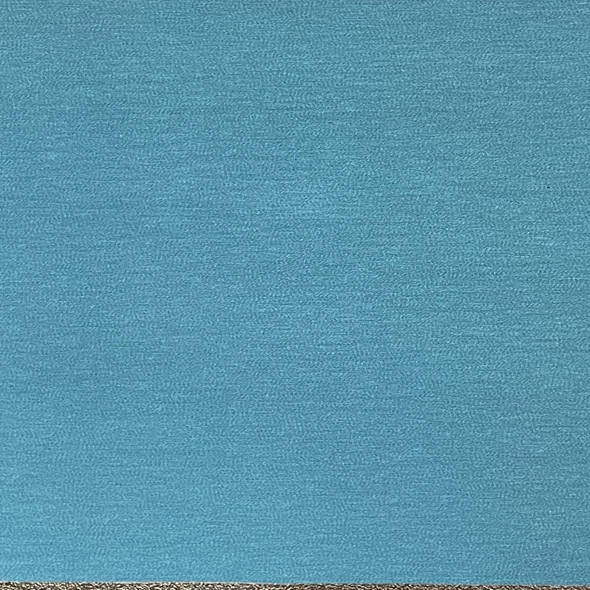 0201 "Tidepool Blue" Vinyl