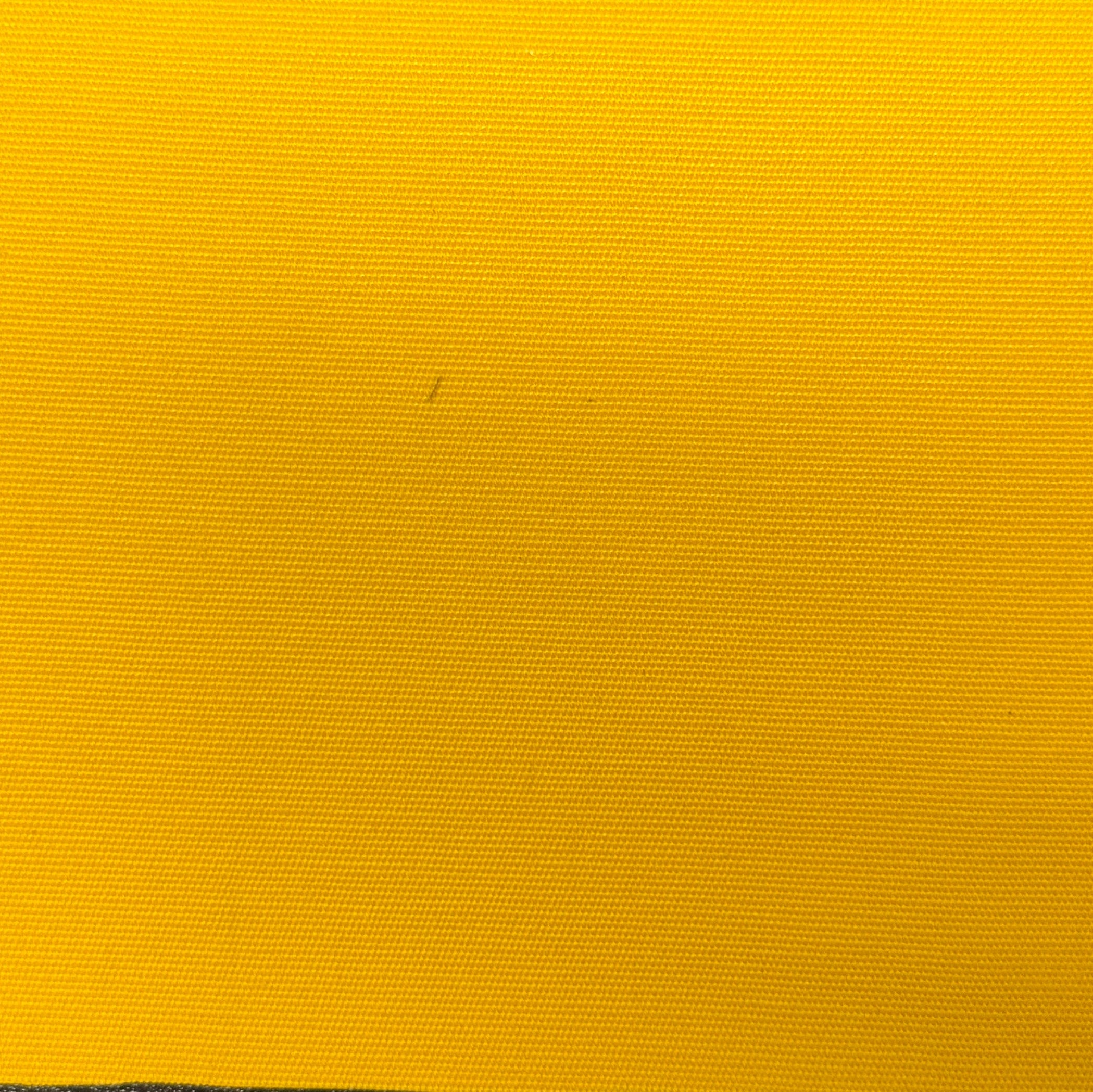 0753 SunBright Canvas