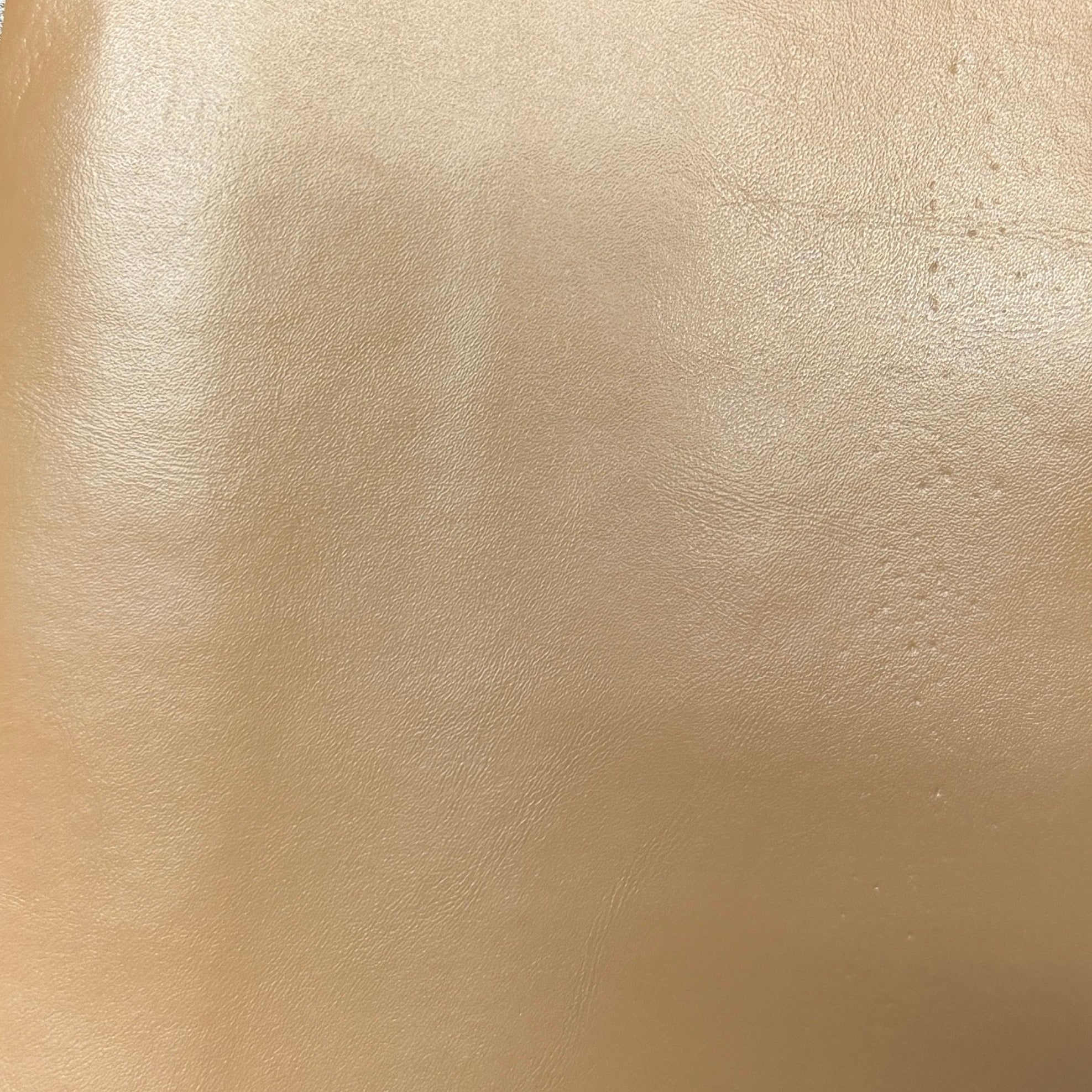 0754 Champagne Beige Faux Leather