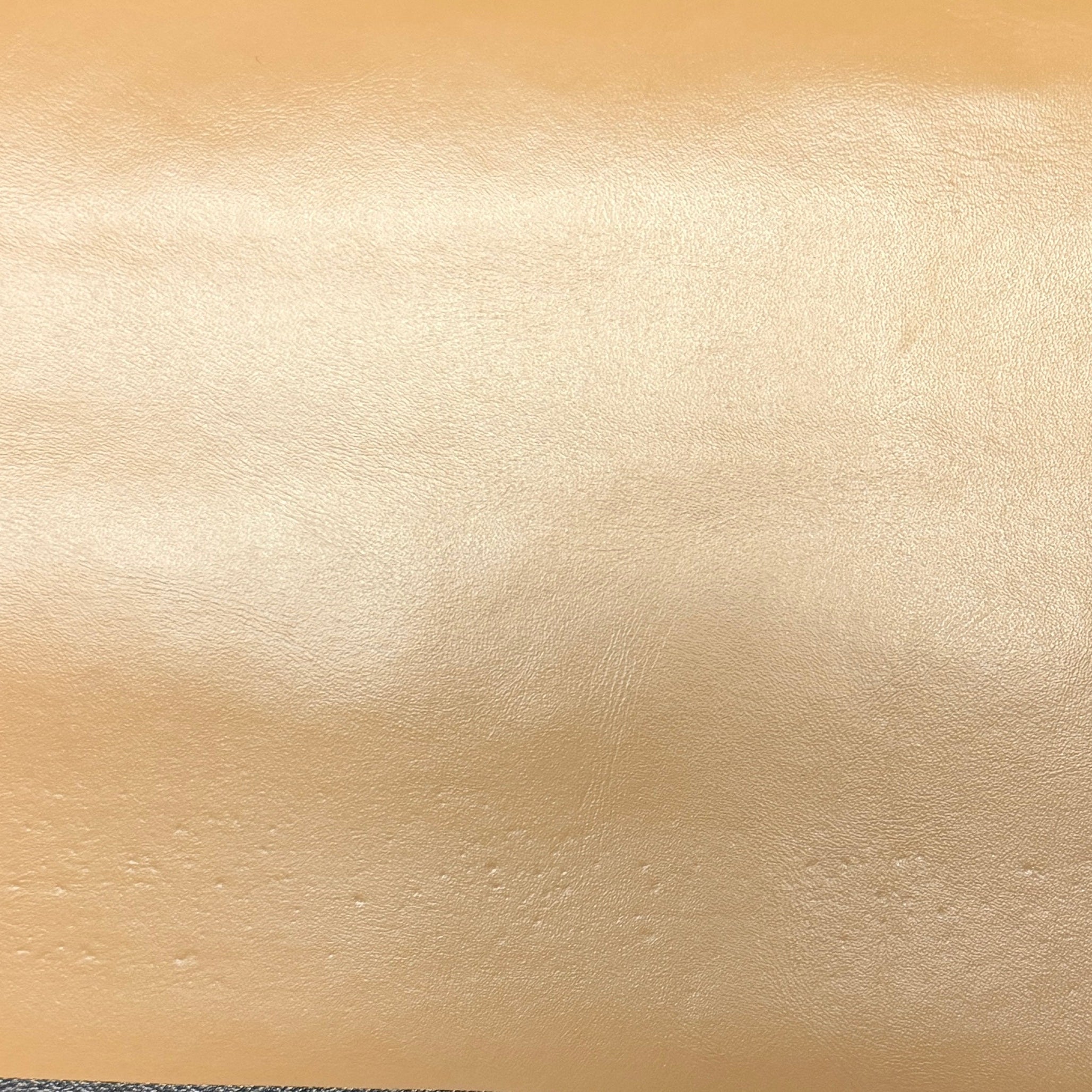 0754 Champagne Beige Faux Leather