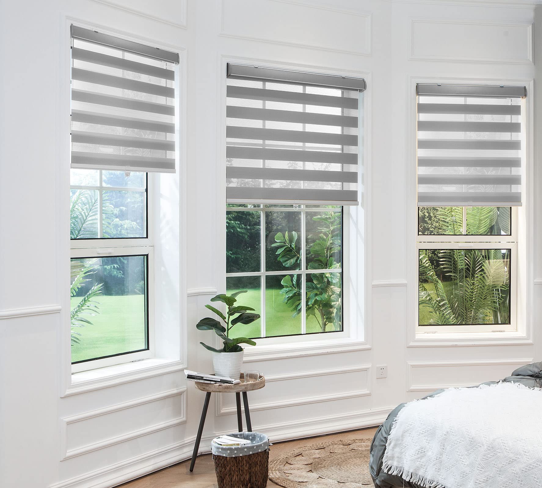Lewis Zebra Shades (Hanzen Collection)