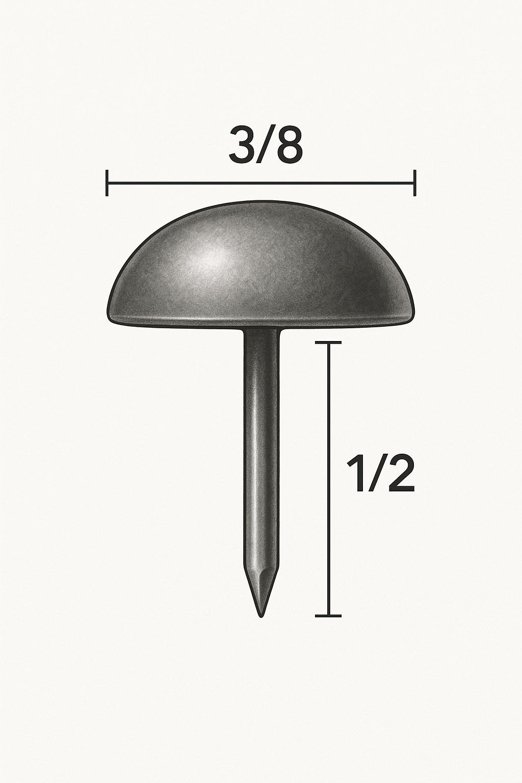 BS333 Polished Brass Nailhead