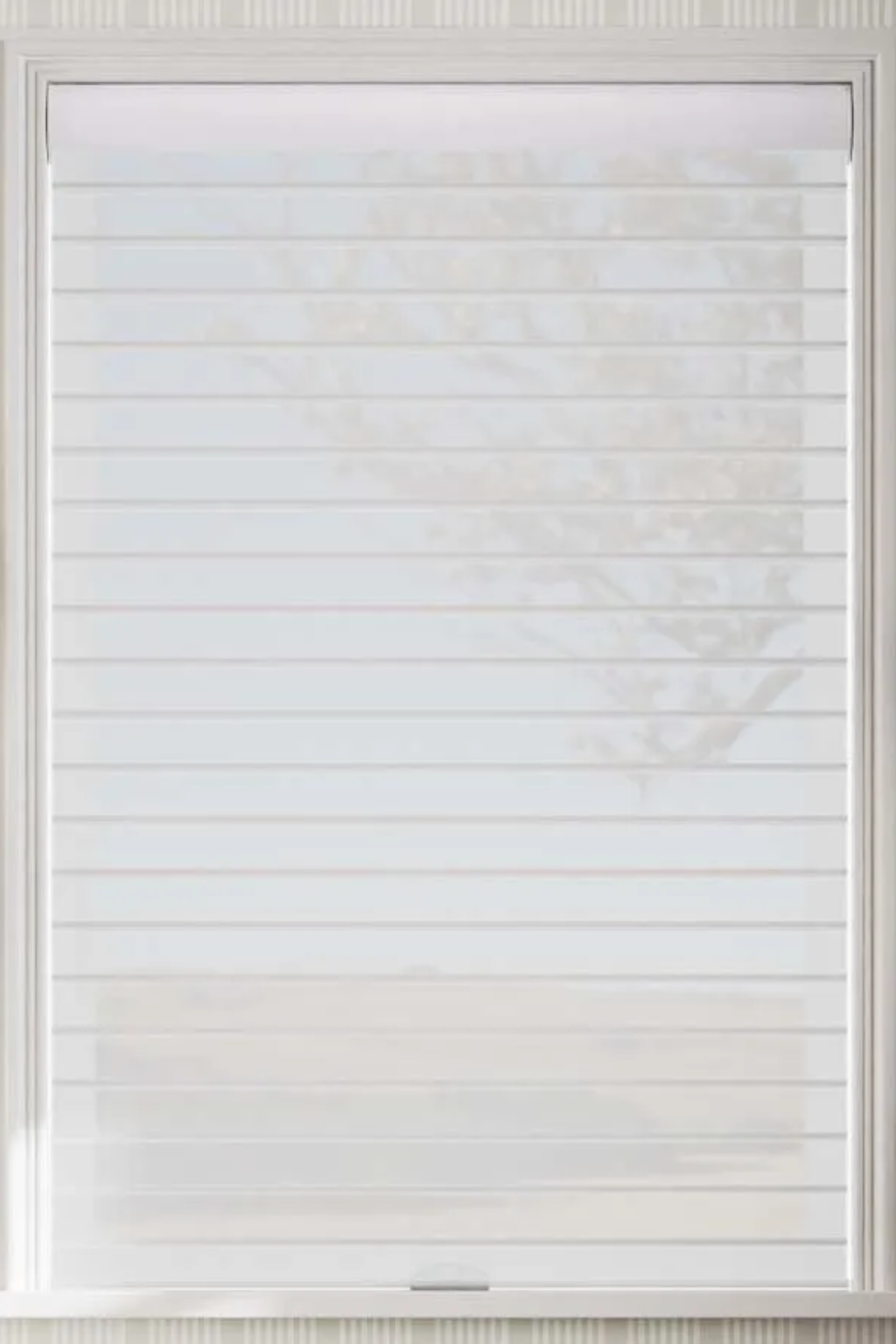 NM501