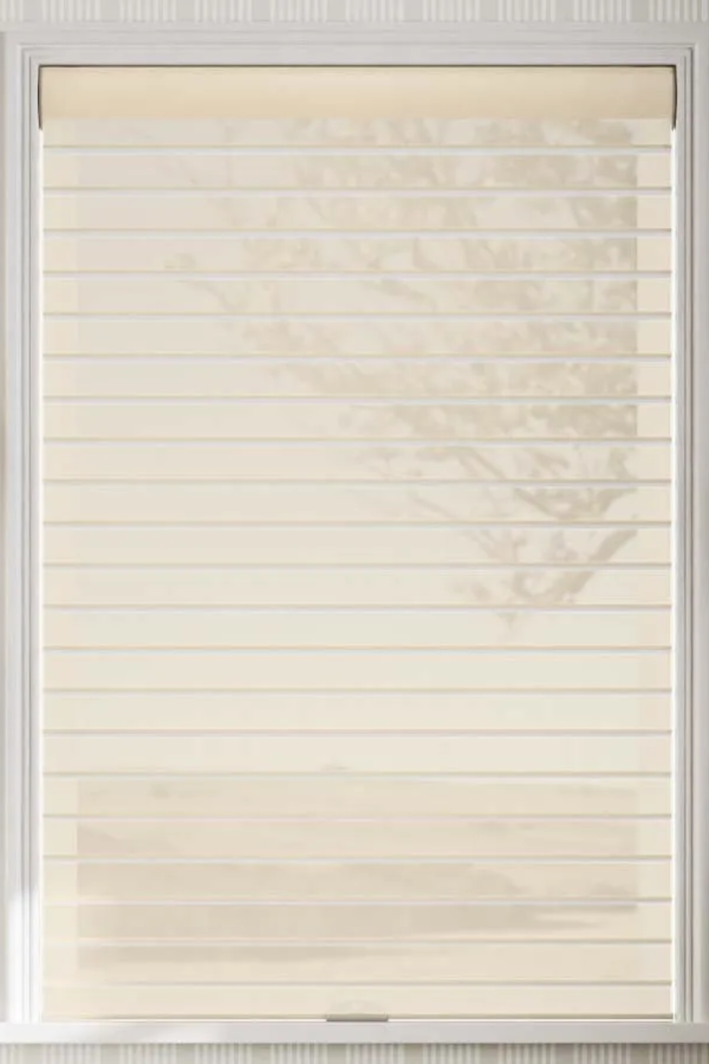 NM503