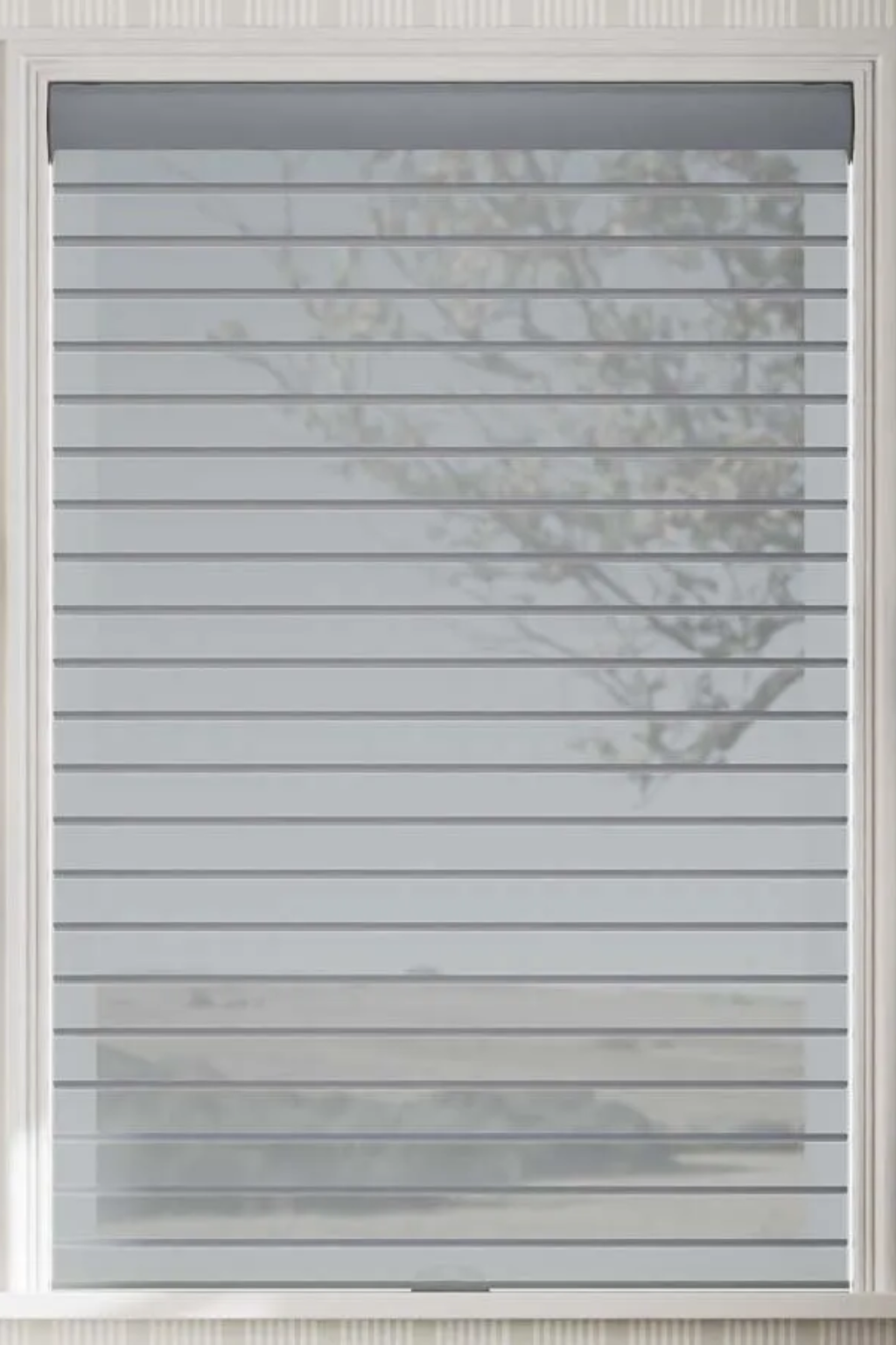 NM504