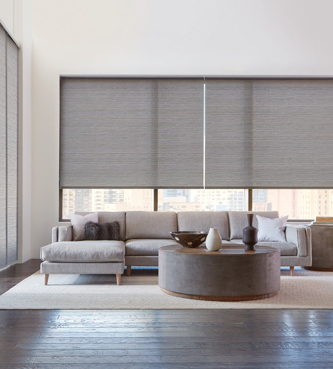Vivid Roller Shade  (Hanzen Collection)